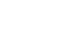 Wireframe Image